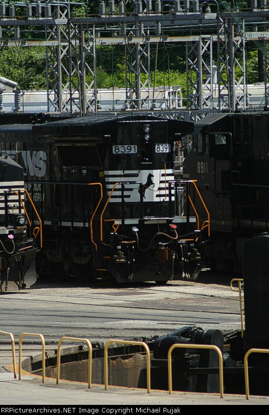 NS 8391